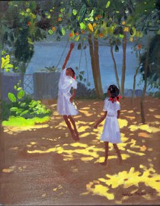 Cueillir des oranges, Bentota, Sri Lanka, 1998
