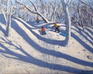 Hiver, Bramcote, Nottingham, 2009