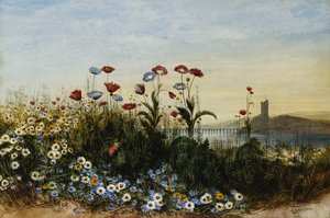 Château de Ferry Carrig, Co. Wexford, vu à travers une banque de fleurs sauvages - Andrew Nicholl