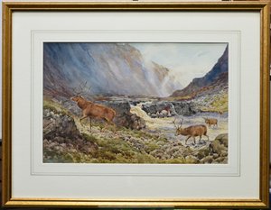 Cerfs traversant la rivière Coe - Andrew Scott Rankin
