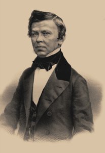 Portrait du poète Vladimir Grigoryevich Benediktov 1807-1873, 1870
