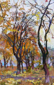 Les bois aux couleurs chatoyantes de l
