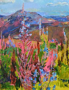 Fleurs de montagne aux couleurs éclatantes - Andrii Kutsachenko