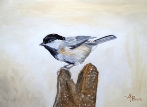 Une mésange sur une souche d