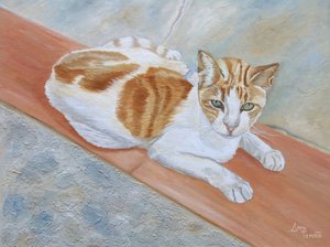 Un chat tigré orange à l