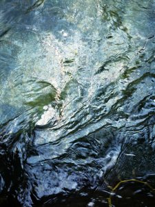 Ondulations aquatiques - Angelo Cerantola
