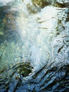 Forêt liquide (1) - Angelo Cerantola