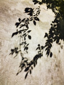  - Angelo Cerantola