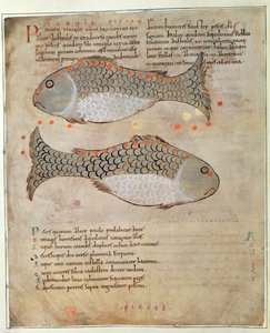 La constellation des Poissons de 