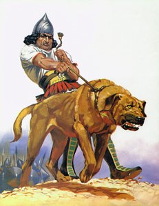 Chien de bataille assyrien (lithographie couleur)