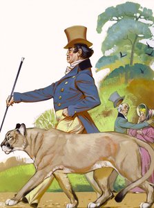 Edmund Keans puma (gouache sur papier)