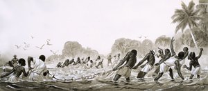 Les indigènes des Caraïbes utilisent des filets pour pêcher le poisson. - Angus McBride