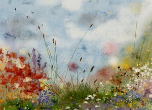 Champ de fleurs aux couleurs éclatantes - Ankie Kooi