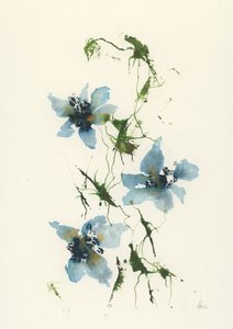 Fleurs bleues à l
