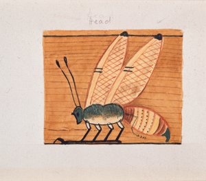 Copie de peinture murale, tombeau de Mentuhotpe, Thèbes, 20e siècle - Anna