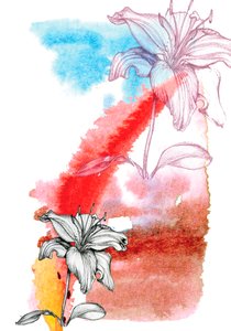 Lys - Anna Platts