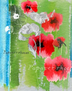 Coquelicot - Anna Platts