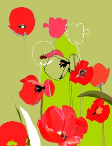 Tulipe