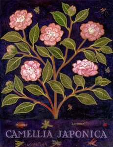  - Anna Pugh