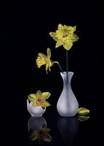  - Anna Qu