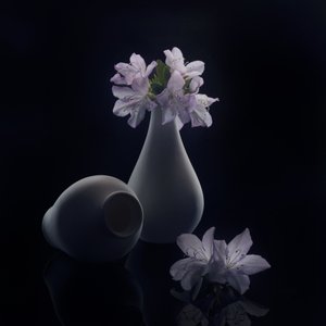  - Anna Qu