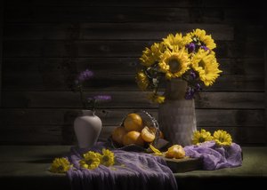  - Anna Qu