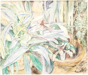 Orchidées, Jardin Botanique, Pise