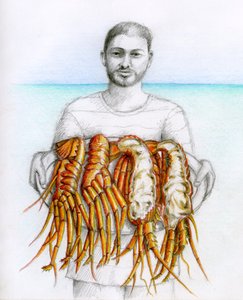 Langouste