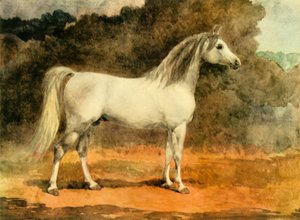 Un célèbre étalon arabe, vers 1870, 1944