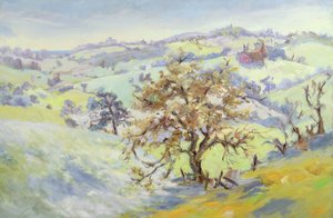 De Udimore vers Peasmarch, Sussex, en hiver
