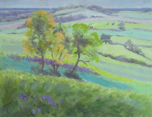 Vers Winchelsea, Sussex, avec des jacinthes au printemps - Anne Durham
