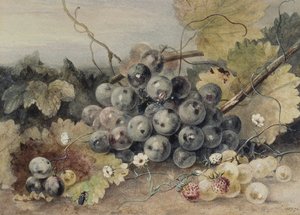 Raisins et fraises - Anne Frances Byrne