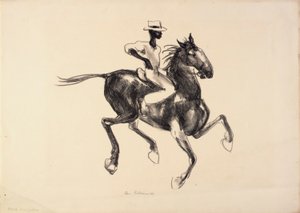 Cheval et cavalier