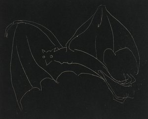 Série de nuit : La Chauve-souris - Anne Goldthwaite