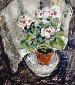 Pélargonium