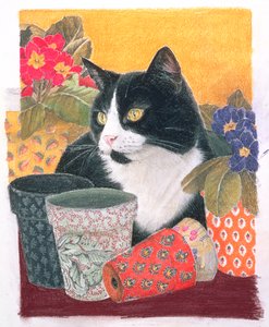 Bhajii et pots de fleurs - Anne Robinson
