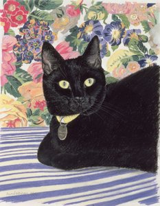 Chat noir