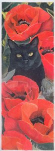 Chat noir avec coquelicots - Anne Robinson