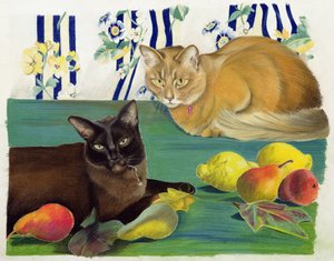 Chats avec fruits
