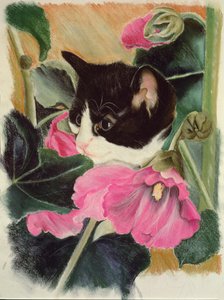 Chaton et roses trémières