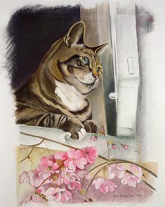 Rayé à la fenêtre - Anne Robinson
