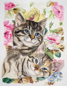 Deux chatons