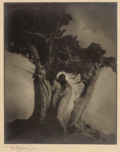Le Cœur de la tempête