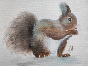 Un charmant écureuil roux - Annette Armitage