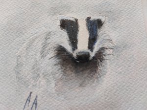 Le regard du blaireau gris - Annette Armitage