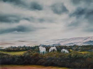 Les poneys de la lande sereine - Annette Armitage