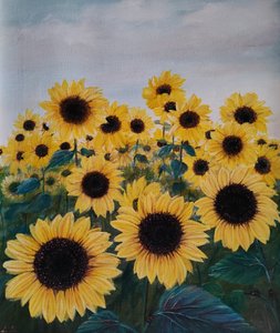 Un champ de tournesols éclatant - Annette Armitage