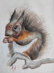 Écureuil des bois à l