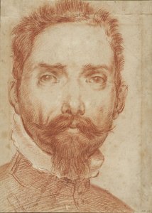 Portrait du luthiste Giulio Mascheroni - Annibale Carracci