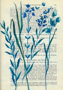 Fleurs bleues – Texte ancien - Annick